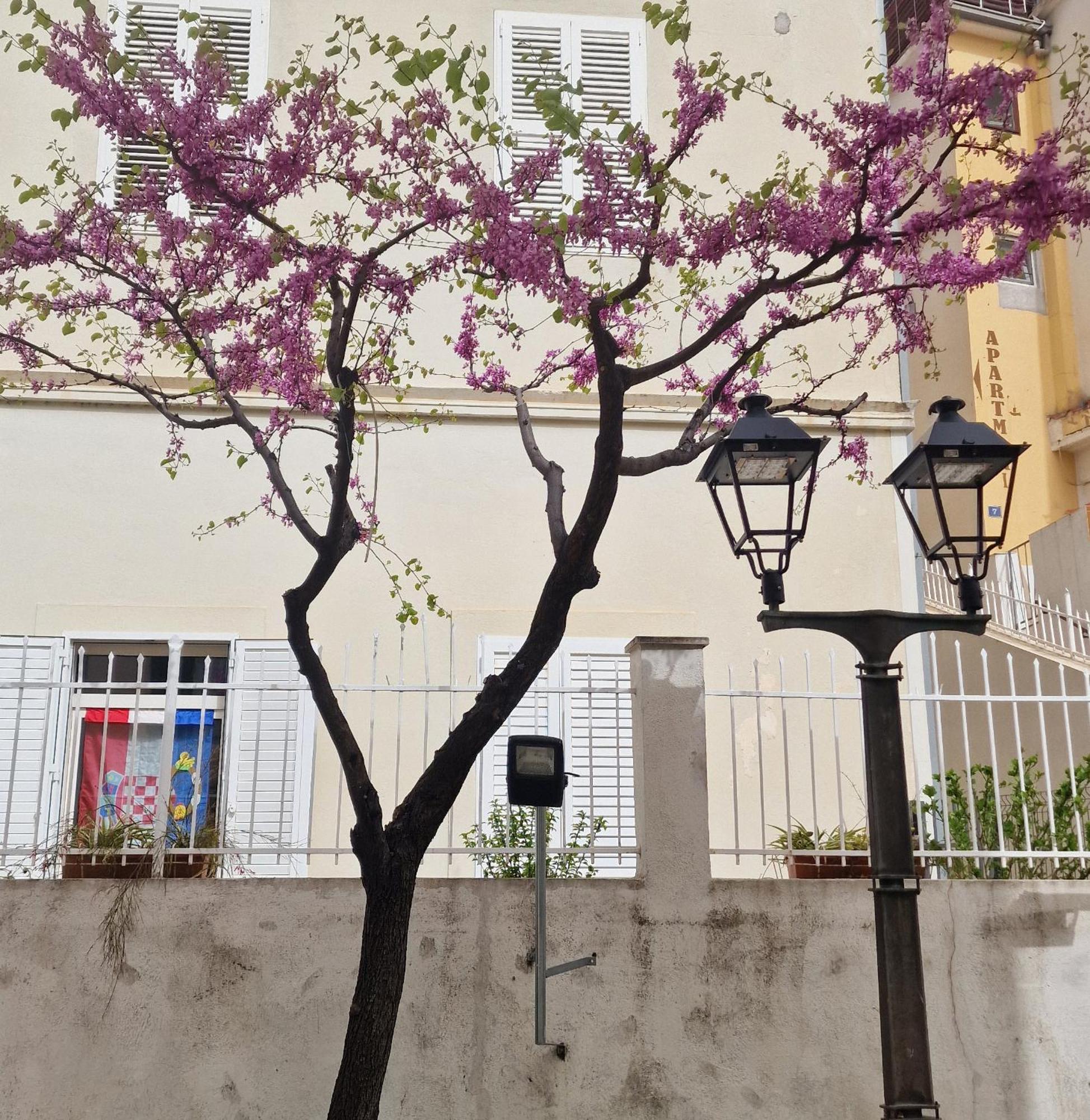 Old Town Apartment Omis Exterior photo